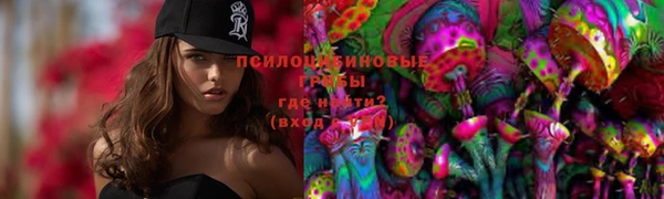 гидра Заводоуковск