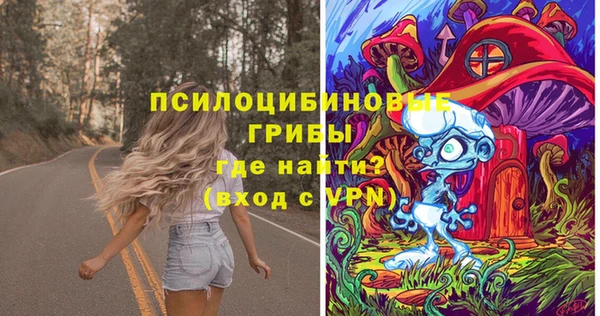 PSILOCYBIN Абаза