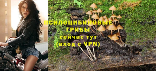 МДПВ Кукмор