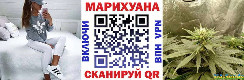 где купить наркотик  Куровское  Марихуана марихуана 